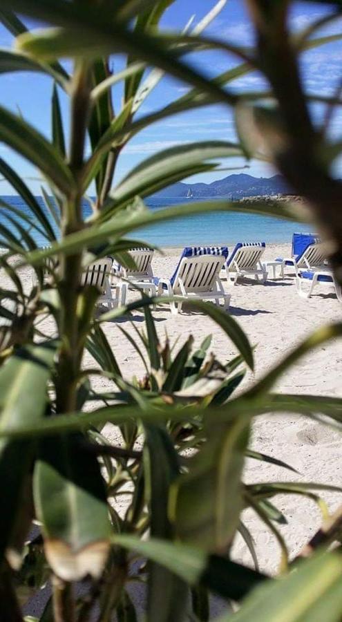 Centre Ville 10 Min De La Croisette/Downtown Κάννες Εξωτερικό φωτογραφία